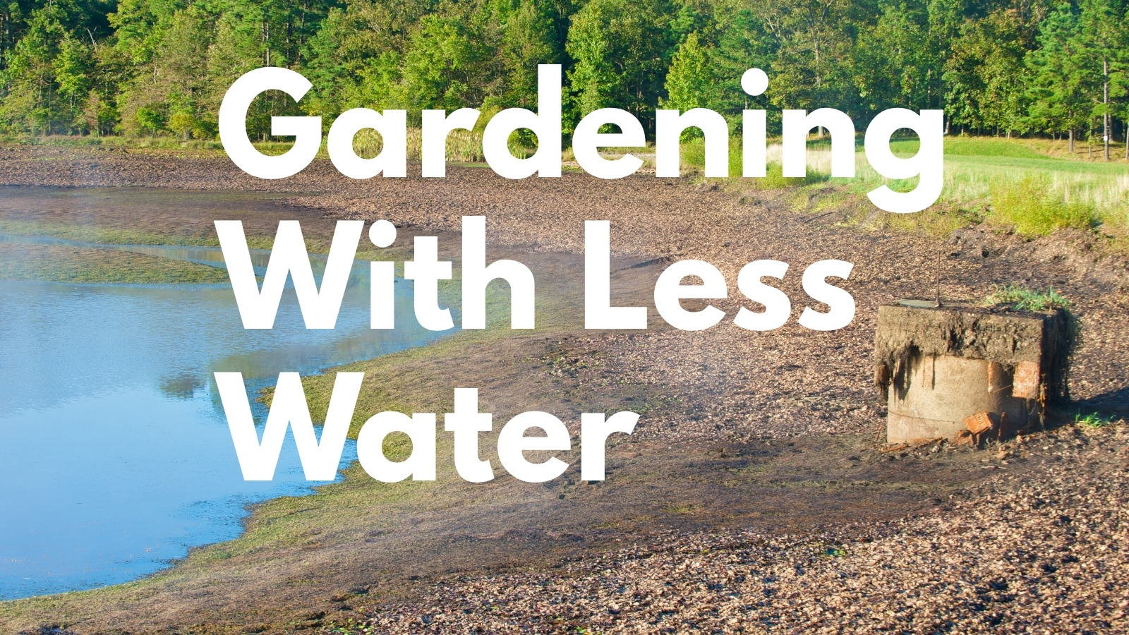 Drought Resistant Gardens program image